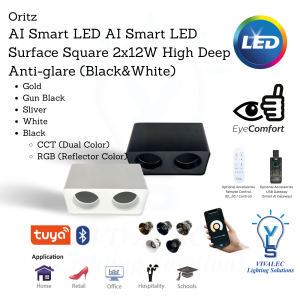 ORITZ VLS AI Smart LED Surface Square 2x12W High Deep Anti-glare (Black&White)
