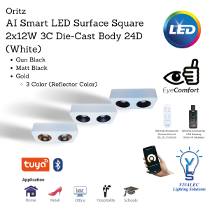 ORITZ VLS AI Smart LED Surface Square 2x12W 3C Die-Cast Body 24D (White)