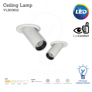 VLS03612 Celling Lamp
