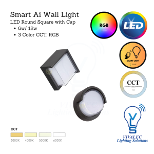 MoiSti Smart Ai LED Wall Light Round and Square 6w/12w 5C Tuya Controllable Color Temp Changing